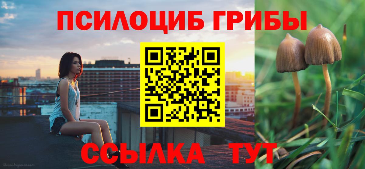 Псилоцибиновые грибы прущие грибы  Вход с VPN  магазин    Димитровград 